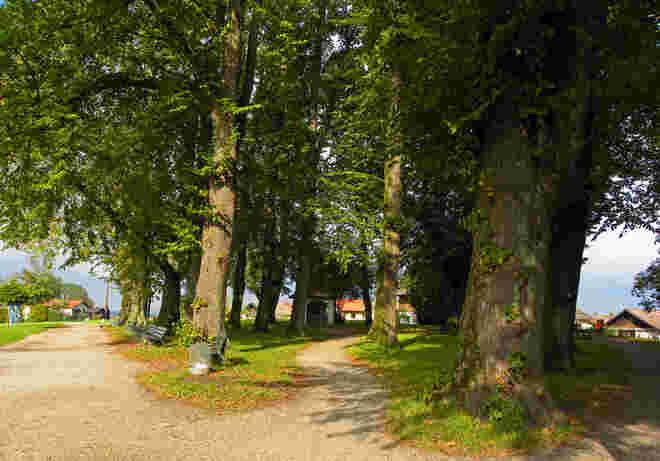 Unter Linden