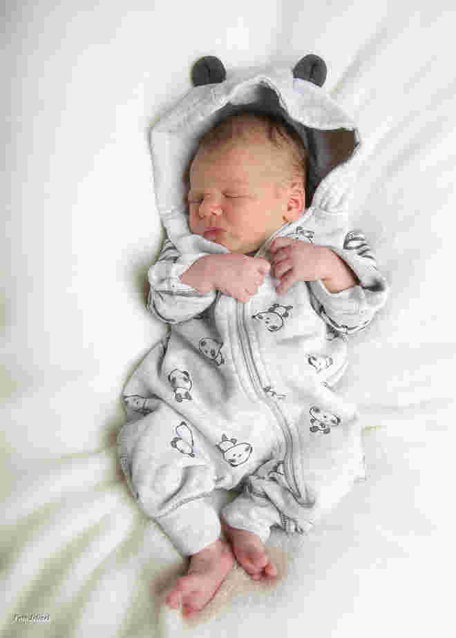 Jakob