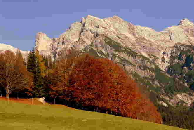 Goldener Herbst