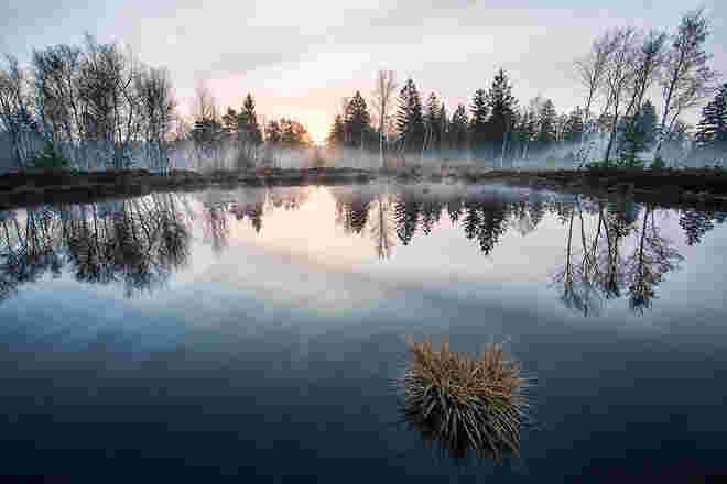 Allerheiligenmorgen im Moor ....