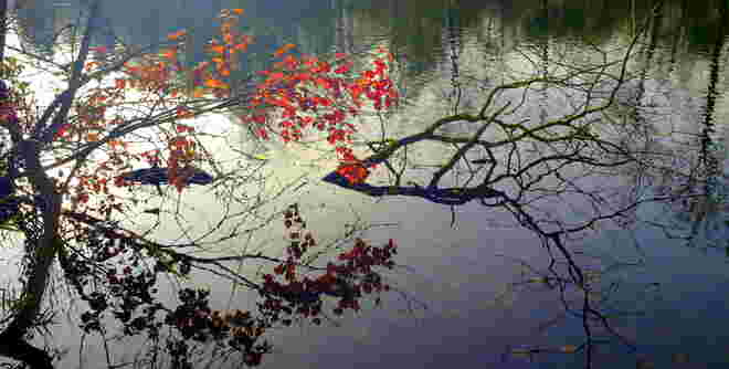 "GESCHMÜCKTER ENKNACH-WEIHER"