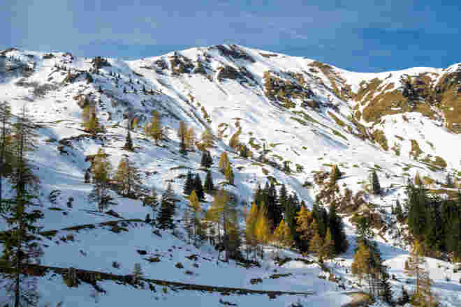 Klingspitz