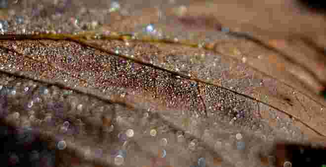 Letztes Glitzern