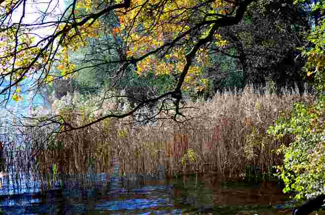 Herbstliches