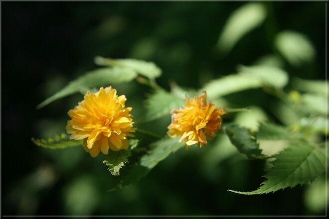 Einen wunderschönen Vatertag...