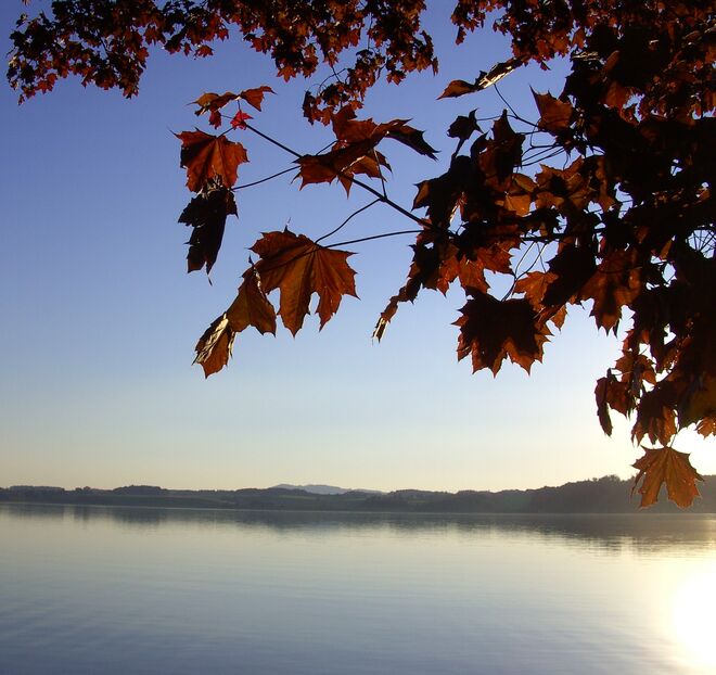 1.Sommertag am Wallersee
