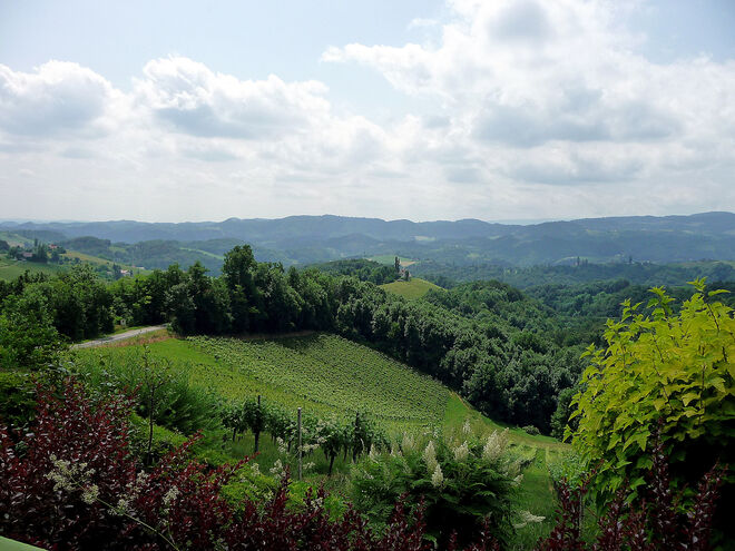 Südsteirische Weinstrasse