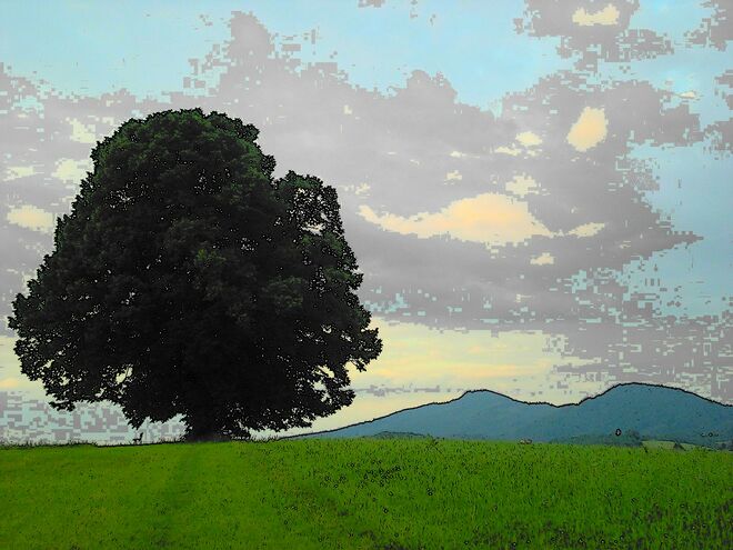 "Künstlerisch angehauchte" Gschirnlinde :-)