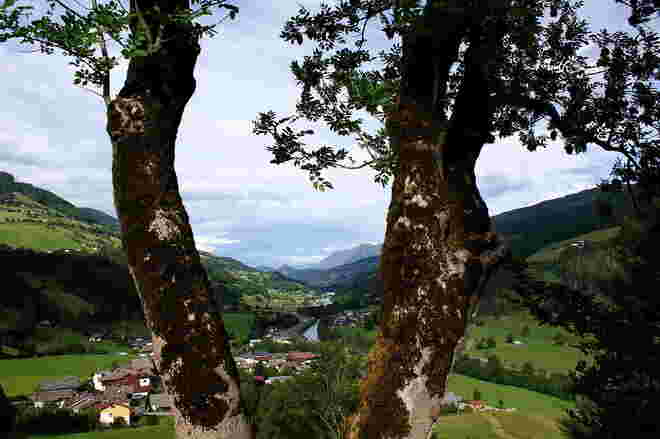 Blick ins Salzachtal