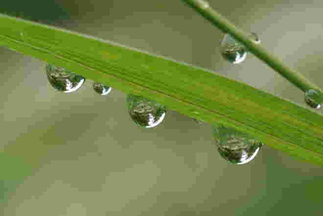 Spiegeltropfen