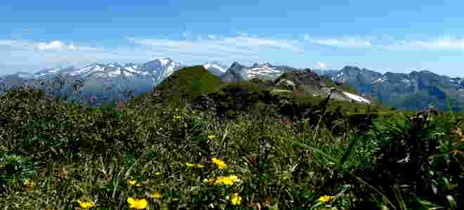 Blick über die Flora der Kolmkarspitze auf Hochalmspitze und Ankogelgruppe
