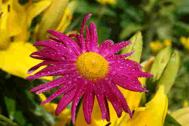 Etwas Farbe in den Tag ....