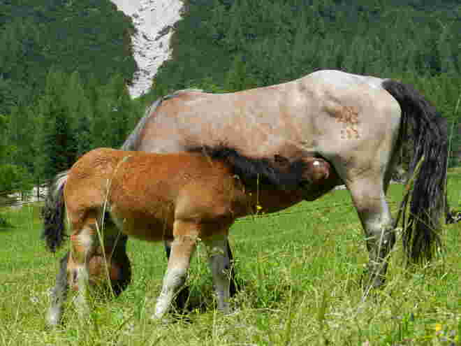 an der Quelle