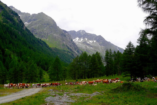 Wann geht endlich das Tor auf?