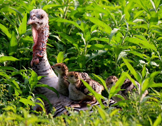 der beste Ausblick...