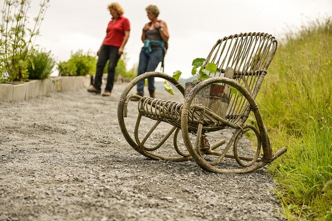 kapuzinerschauckel..........