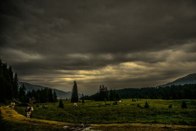 weidschober - nach dem gewitter