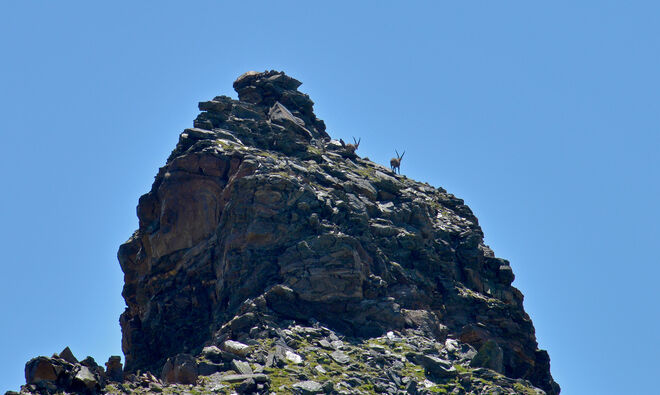 Bald ist der Gipfel erreicht