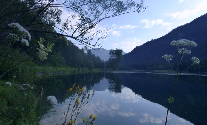 Morgens am Pillersee