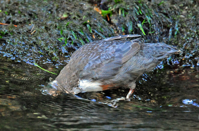 Wenn die nächste Hitzewelle kommt, gilt es,