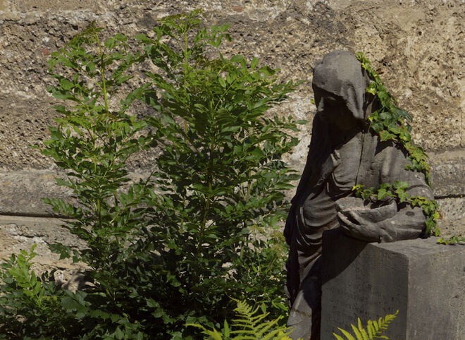 Grün und Vergangenheit