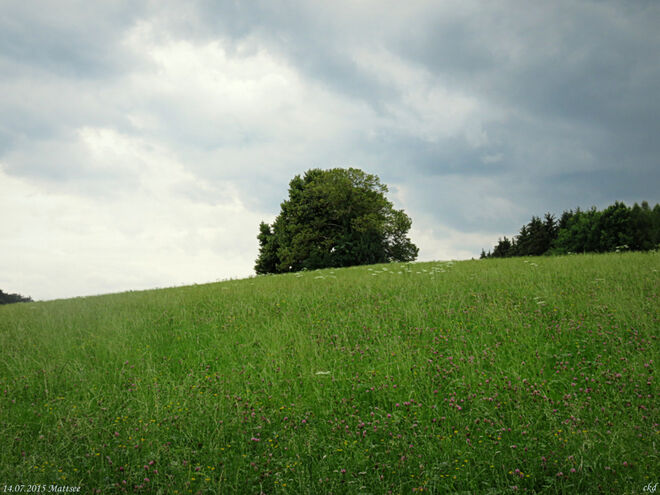 Es riecht nach Regen...