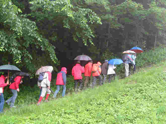 Aufstieg in den Hexenwald