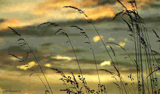 Es ist Sommer