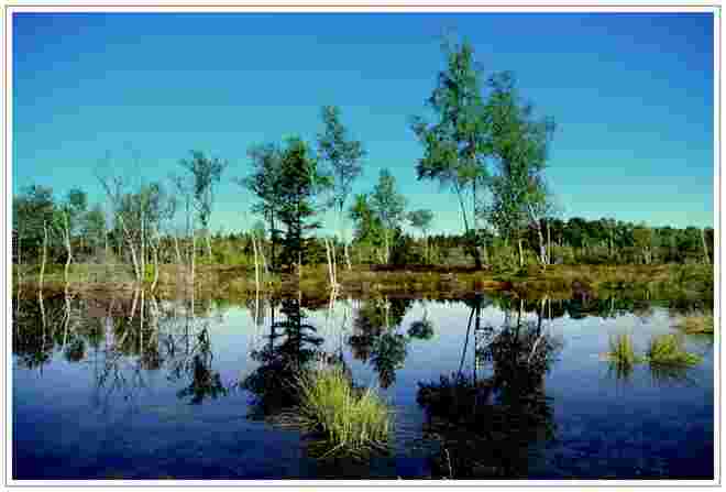 Sonne und Moor