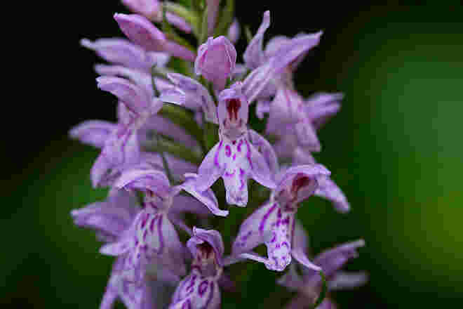 Erlebnis