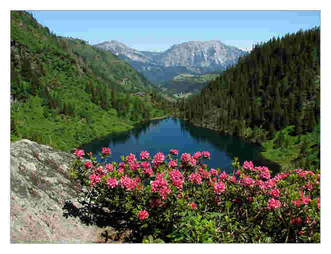 Der Hüttensee