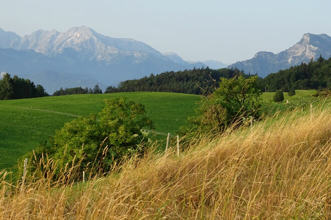 Am Morgen am Voggenberg