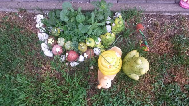 Der kleine Garten meiner Enkelin