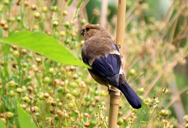 den Überblick behalten...
