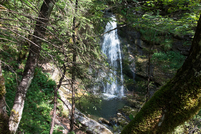 Im Nationalpark Kalkalpen