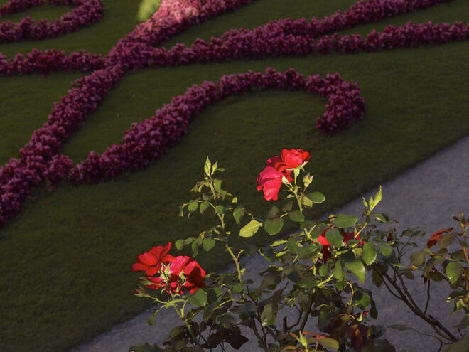 Lichtblick im Mirabellgarten