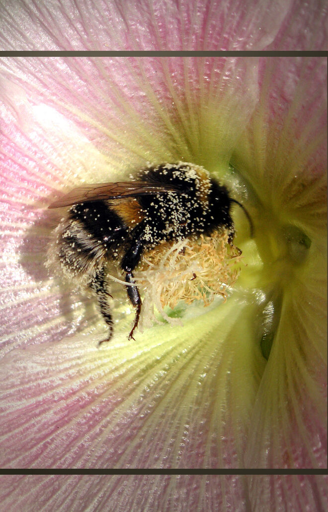 Ganz schön staubig  2