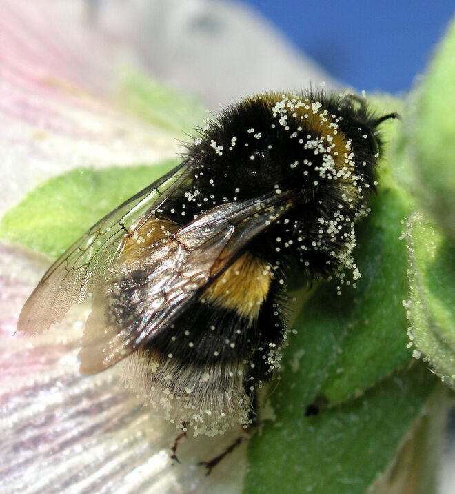Ganz schön staubig  1