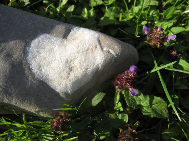 Ein Dankeschön......