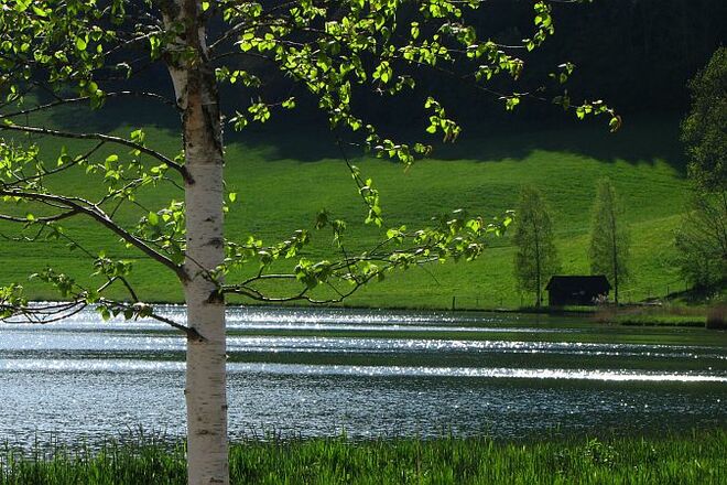 Für Hannes aus Salzburg