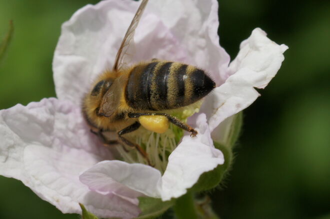 da muß doch noch was zu finden sein