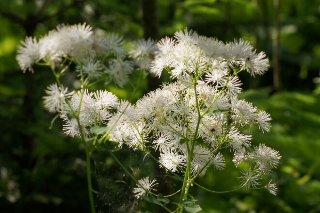 noch scheint die Sonne drauf