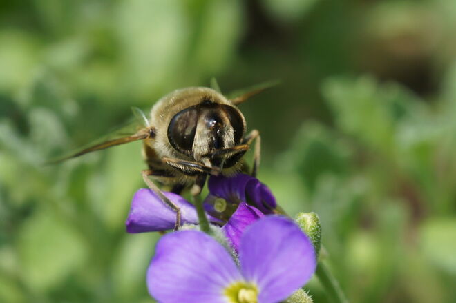 Hmm, das war aber lecker