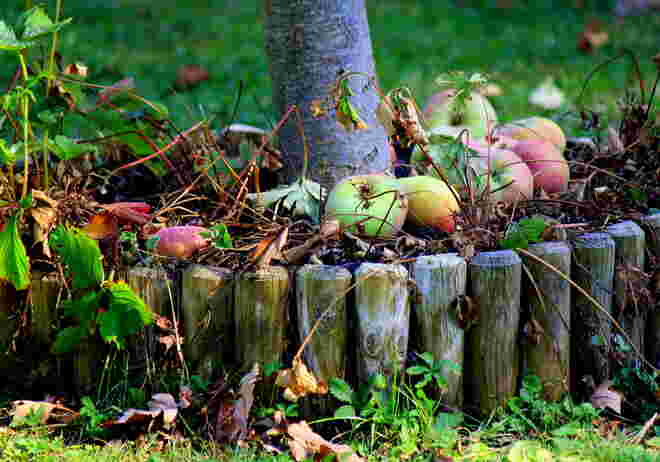 der Herbst ist nicht mehr weit ...