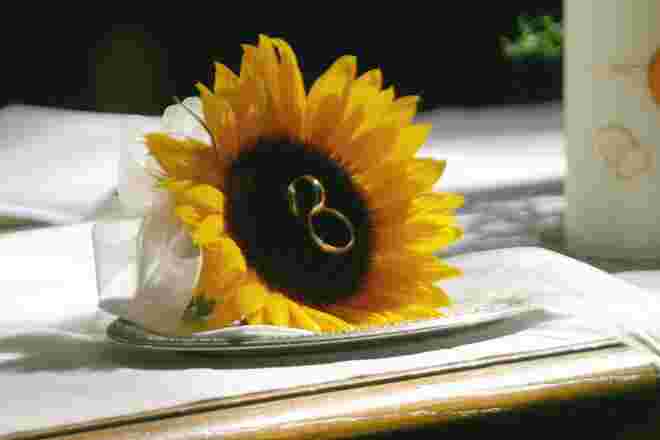 Sonnen-Ring-Blume