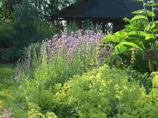 Im Kräutergarten 1....