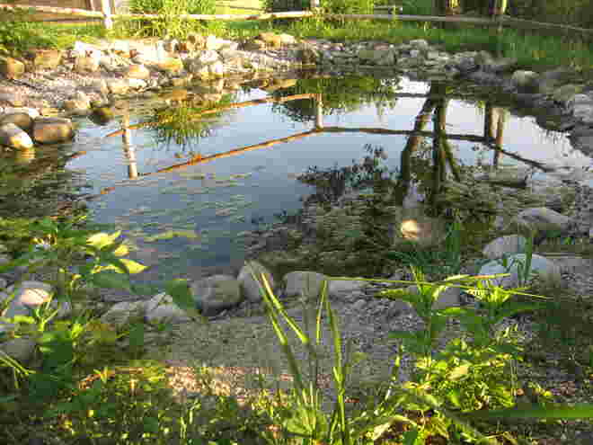 Im Kräutergarten 2.....