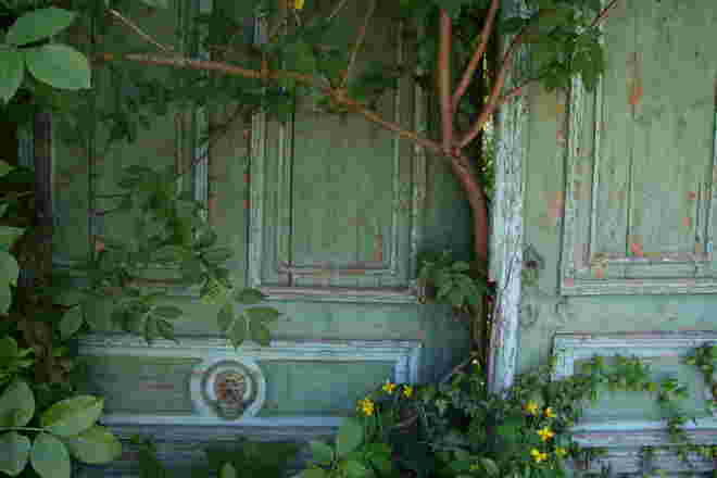 Der geheime Garten