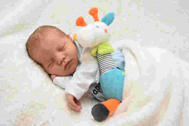 Ajdin Pasic
