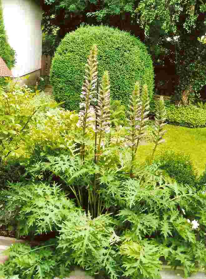 Mein Garten